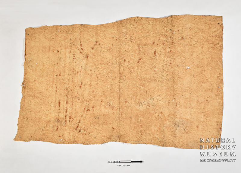 L.2100.A.13.63-458_02