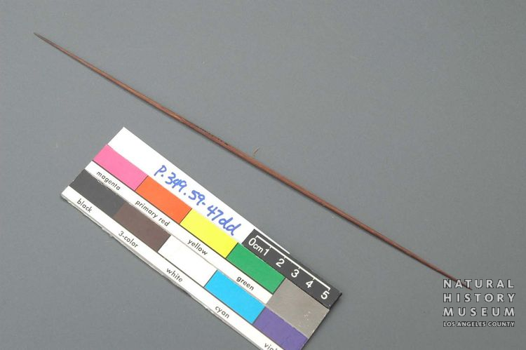 P.349.59-47dd.03.jpg