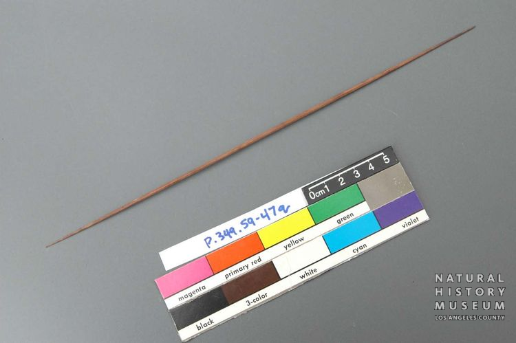 P.349.59-47q.03.jpg
