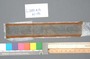 L.2100.A.13.61-191.jpg