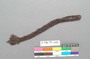 A.5486.96-6143.jpg