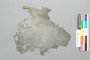 A.5486.96-6140.jpg