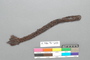 A.5486.96-6143.jpg