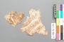 A.5486.96-6144.jpg