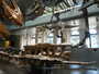 Tyrannosaurus rex: juvenile skeleton