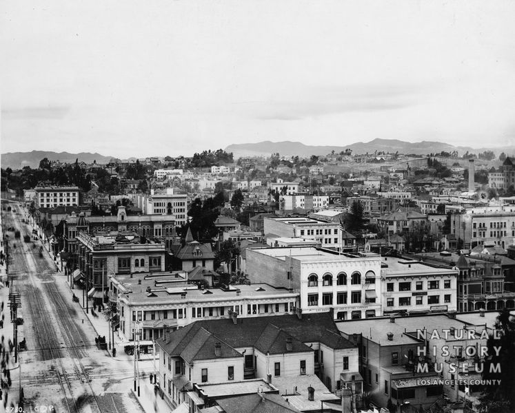 P-010-0395