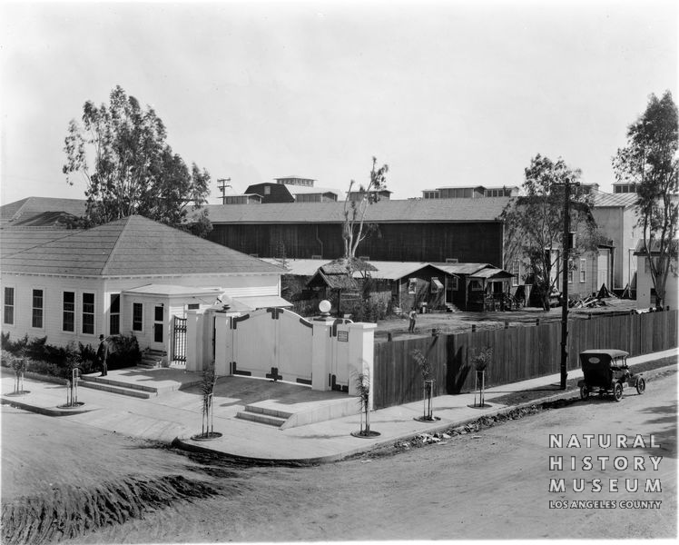 P-010-0449D