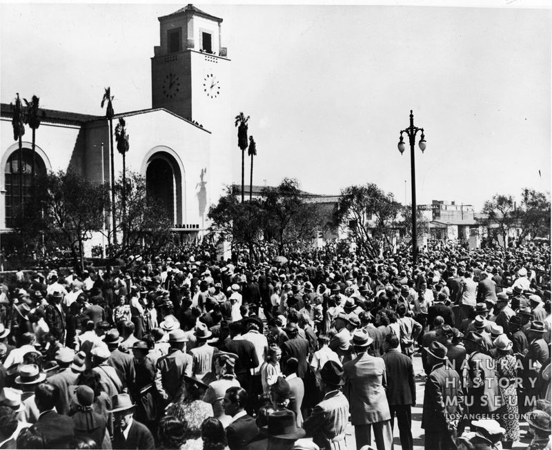 SCWHR-P-002.3-005-111