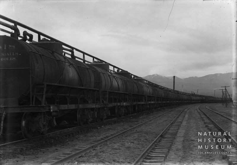 SCWHR-P-005-N0497