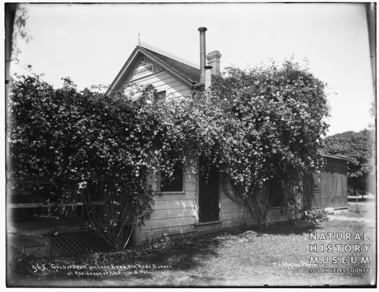 SCWHR-P-002.2-2124R