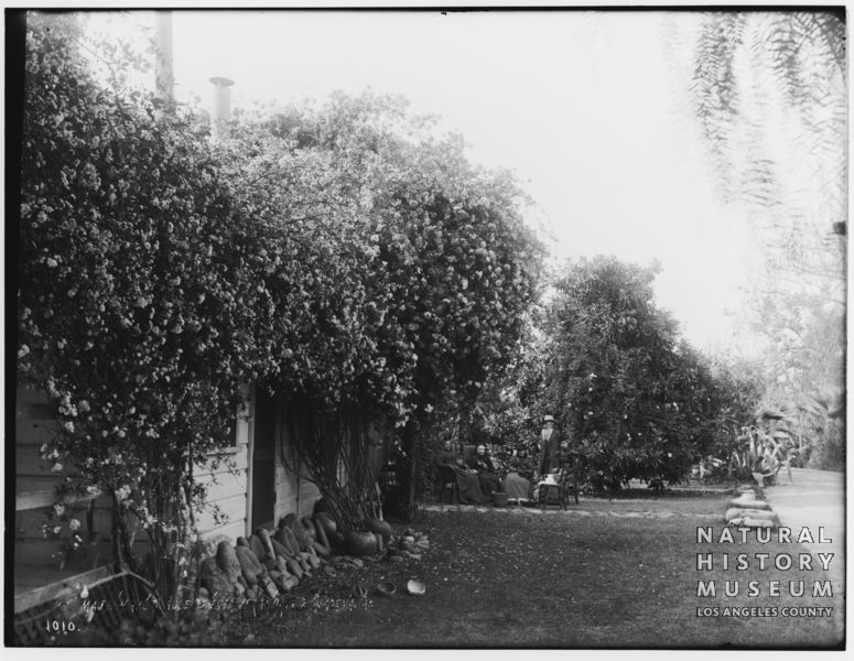 SCWHR-P-002.2-2506R